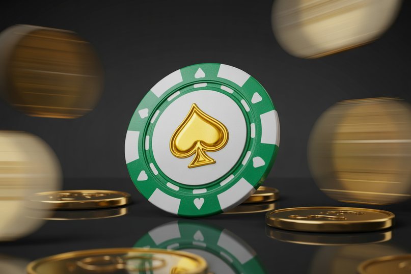 Spinwinera Spinwinera