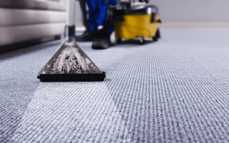 Office Carpet Shampooing6